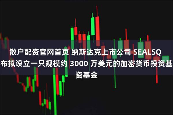 散户配资官网首页 纳斯达克上市公司 SEALSQ 宣布拟设立一只规模约 3000 万美元的加密货币投资基金