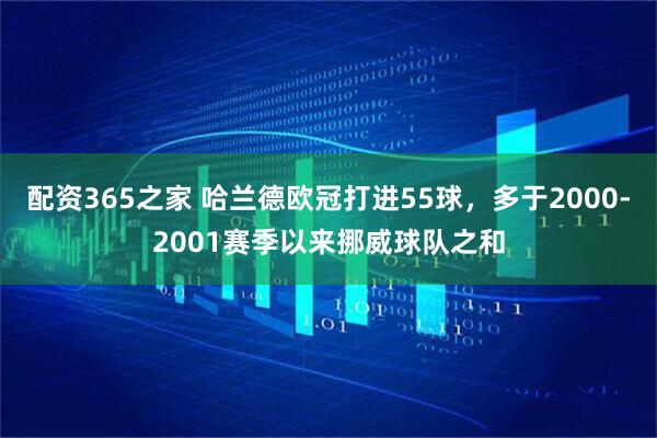 配资365之家 哈兰德欧冠打进55球，多于2000-2001赛季以来挪威球队之和